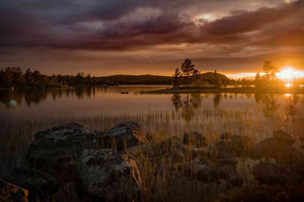 Yoga Retreat i Norra Sverige